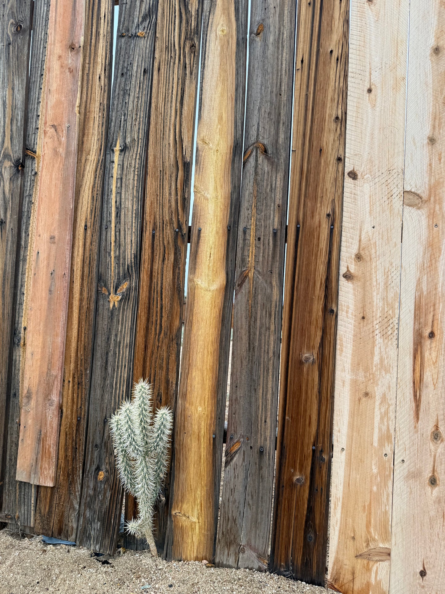 NOVEMBER 2025 Art Retreat Joshua Tree, CA