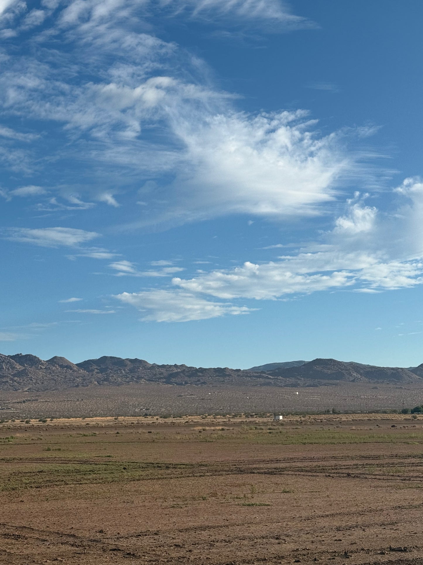 NOVEMBER 2025 Art Retreat Joshua Tree, CA