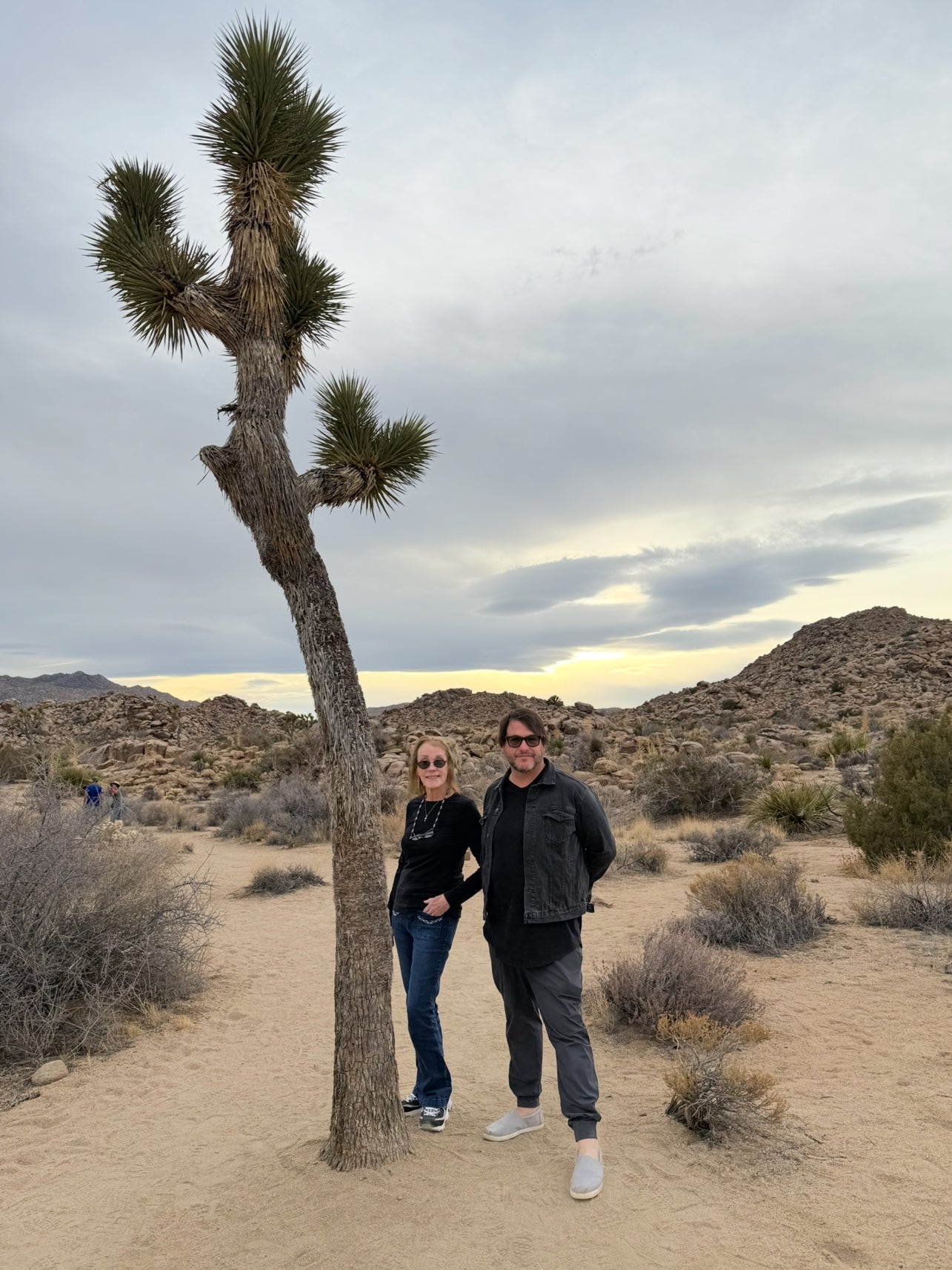 NOVEMBER 2025 Art Retreat Joshua Tree, CA