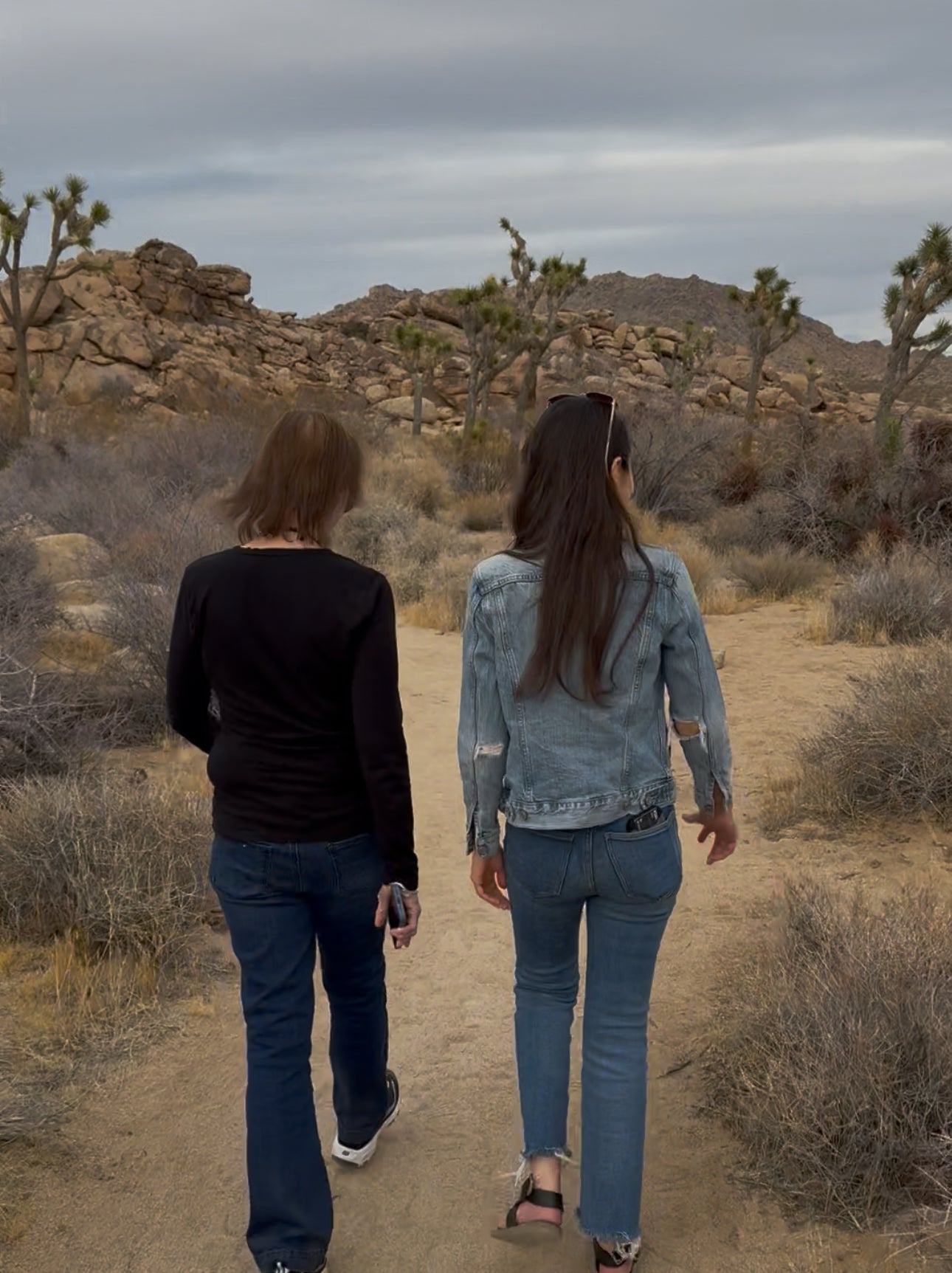 NOVEMBER 2025 Art Retreat Joshua Tree, CA