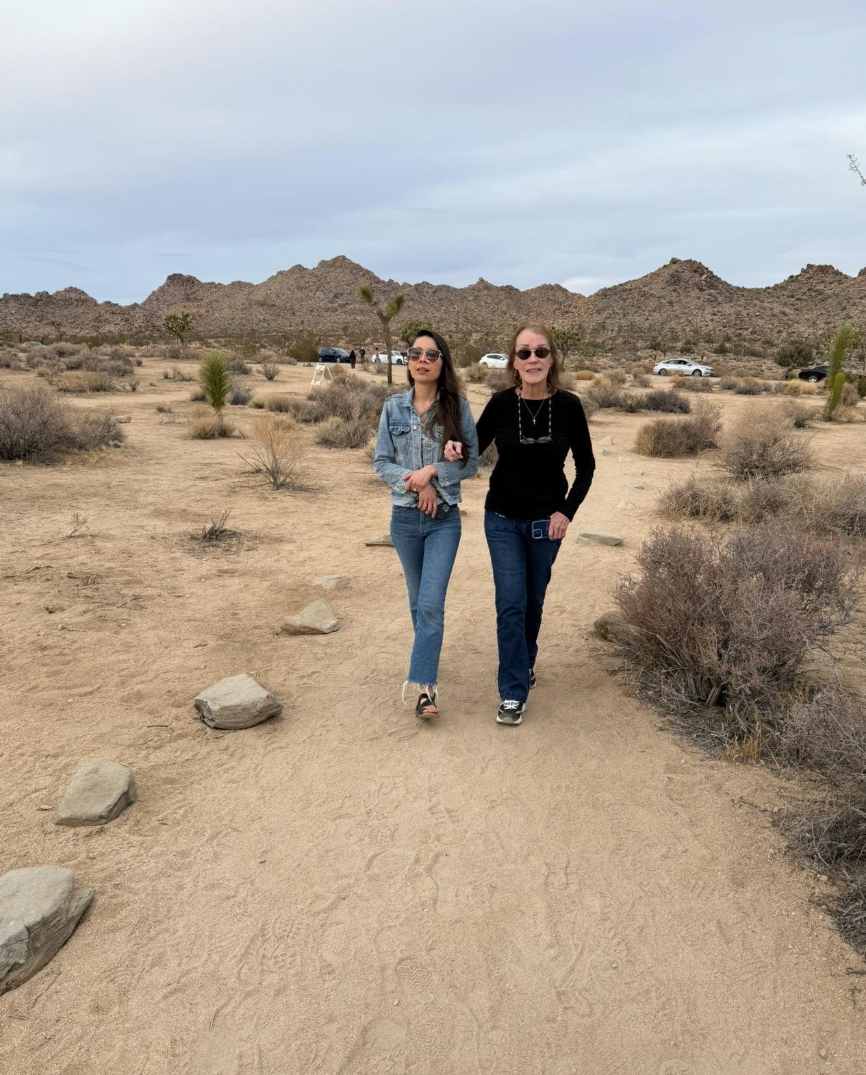 NOVEMBER 2025 Art Retreat Joshua Tree, CA