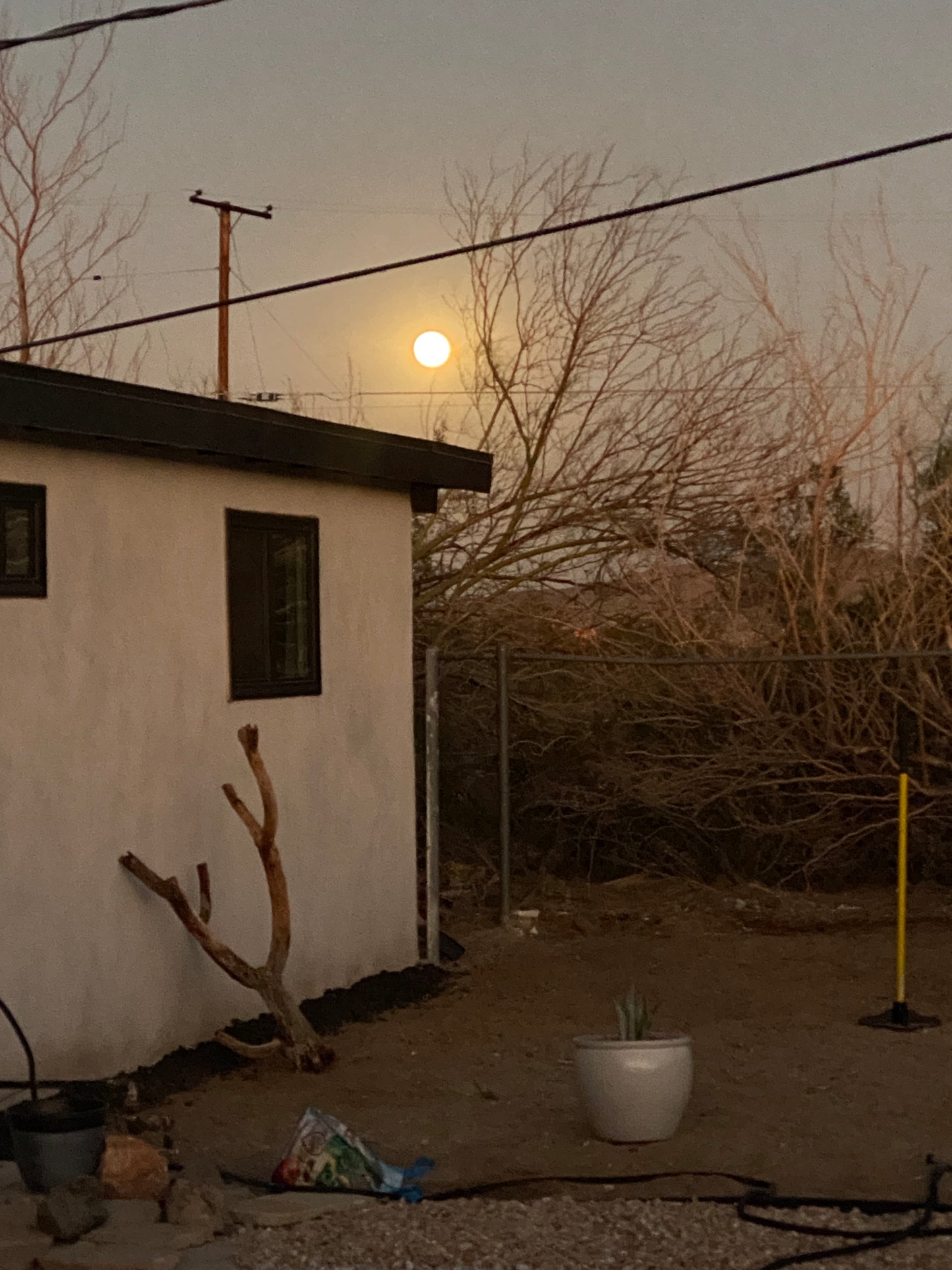 NOVEMBER 2025 Art Retreat Joshua Tree, CA